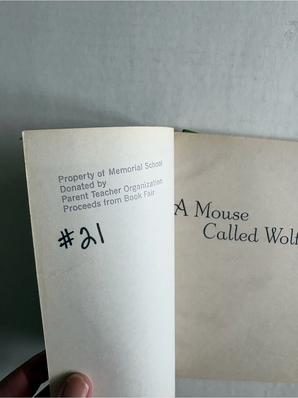 A mouse called wolf